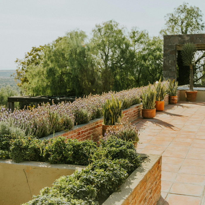 Terrasse extérieure Roquebrune-sur-Argens